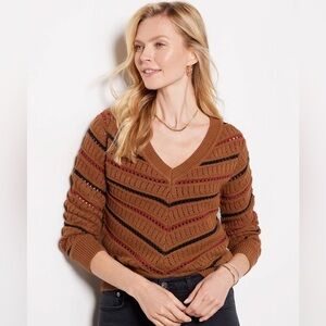 Evereve Brown and Black V-Neck Sweater